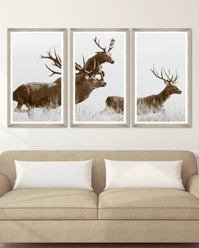 Decorazioni da Parete