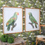 Quadro PERRY
