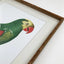 Quadro PERRY