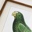 Quadro PERRY