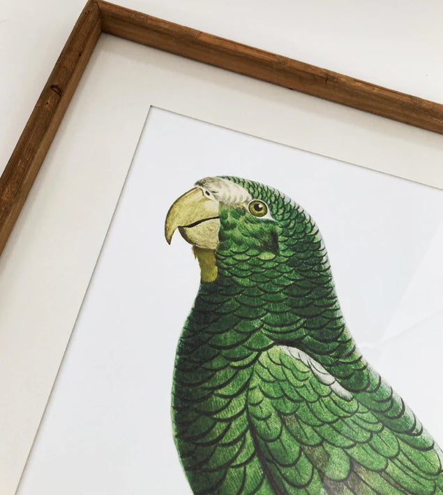 Quadro PERRY