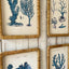 Quadro CORALLI